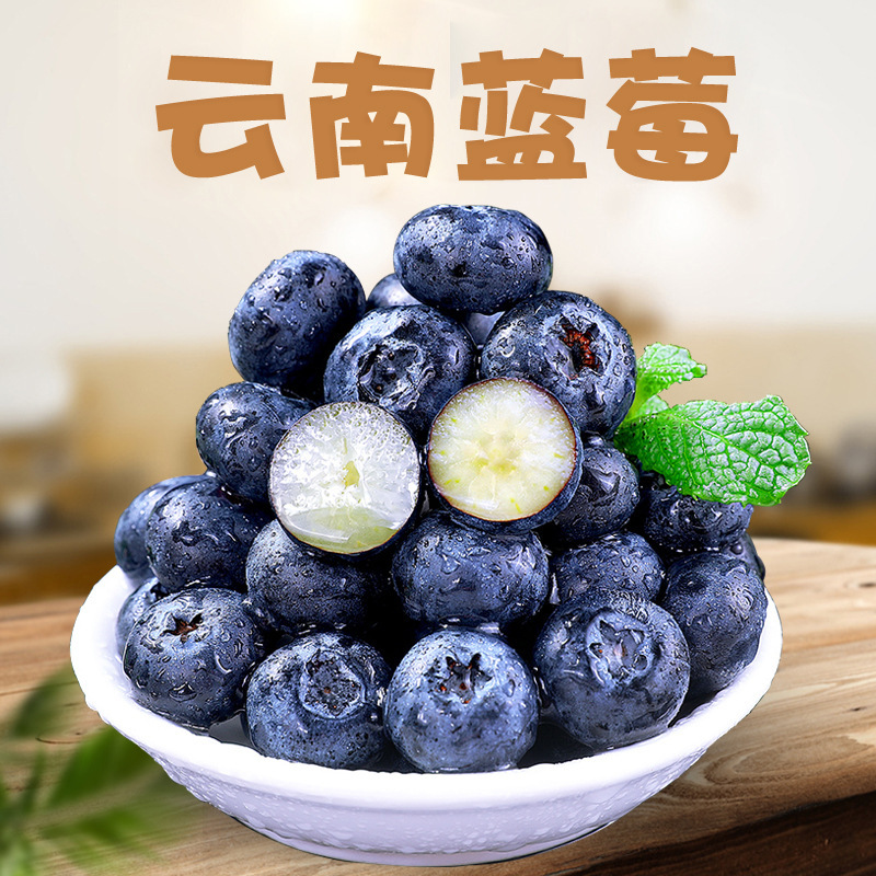 Yunnan Floral Blueberry, Direct Delivery from L25 Sf Orchard, Fresh Fruit with Floral Aroma, Extra Large, Crisp, Sweet, Fresh Fruit Yunnan Floral Blueberry, Direct Delivery from L25 Sf Orchard, Fresh Fruit with Floral Aroma, Extra Large, Crisp, Sweet, Fresh Fruit