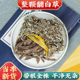 ��؛���ײ���ș�������ж���ș����ˮ�ȿɴ�g���{�ݲ�