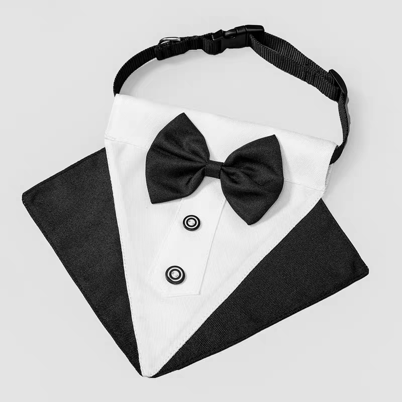 ♔ Dog Suit Triangle Scarf Wedding Bow Tie Wedding Big Dog Bow Tie Corgi Handsome Wedding Photo Shoot