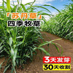 ���ݷN�Ѷ������߮a�ߵ��K����ι�u���Zţ���~�ݷN�������ļ����N