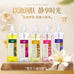 ���w��Ħ����ȫ��ͨ���jĘ�沿�o�w���w�����_�����͏ͷ�����Ժ