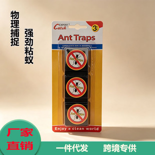 �羳����Λρ�ݏ���Λρ�z�F؛�S�����lΛρ�T�������ڼtΛρ