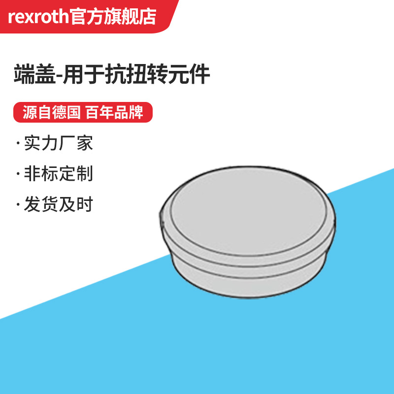 端盖-用于抗扭转元件