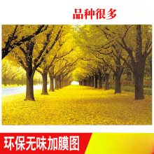 ♡批发黄金大道满地卧室墙上壁画树风景画客厅装饰画走廊过道纸