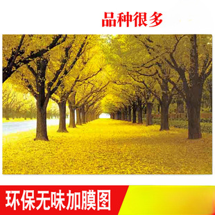 ?���l�S�����M�����Ҡ��ϱڮ����L�����͏d�b������^����