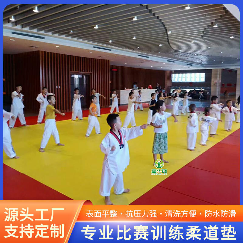 Judo Mat Professional Competition Training Mat Wrestling Sanda Taekwondo Fighting Tatami Jujitsu Training Mat