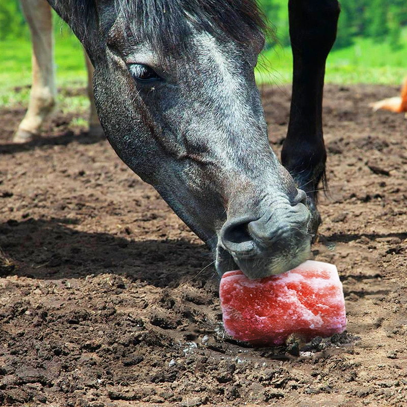 Лизать соль животных лизать солевые блоки оптовые крупные солевые блоки Гималайские розы соленые кирпичи для скота и овец питательные лизать блоки