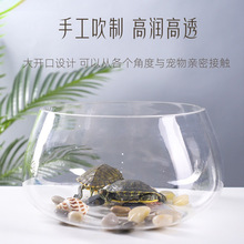 家用绿萝水培乌龟透明桌面创意小型迷你办公桌圆形鱼缸玻璃小鱼