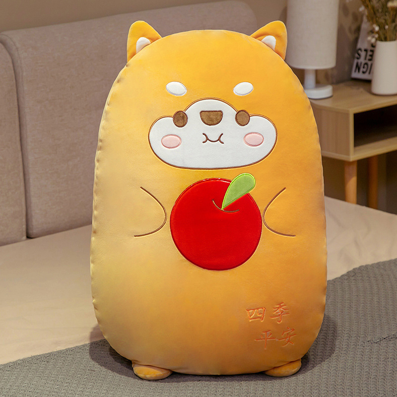 시바견(사계절 안전)