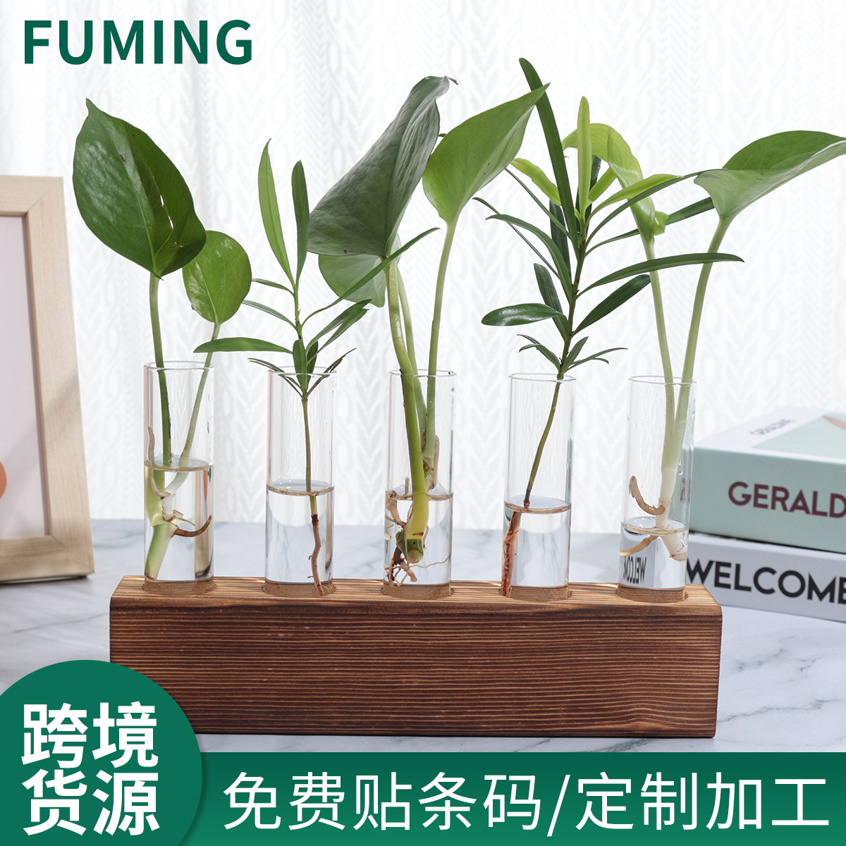 Test Tube Glass Vase Small Ornaments Simple Creative Internet Celebrity High-Level Transparent Hydroponic Flowers for Living Room