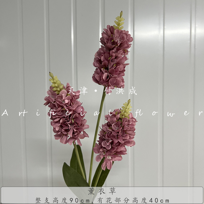 라벤더-팥소 퍼플