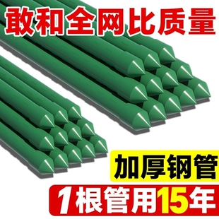 ���ټ������S�϶��Ǽ��¼�ֲ�ﻨ��֧�ΗU�@ˇ����䓹����t��֧��