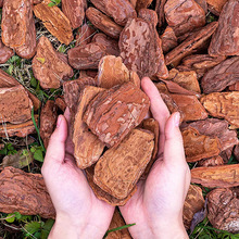 ����ĥ�l�͸����ɘ�Ƥ���[�@ˇ�@�ֻ��@ͥԺ��Ѩ�쾰�ЙC���w��