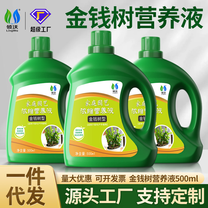 领沃金钱树营养液专用肥治黄叶烂根室内盆栽养花卉绿植通用液体肥