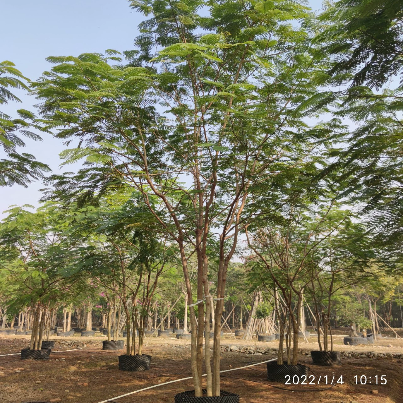 2201 база оптовая поставка