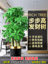 ߰lؔUԭ͏dԴ;Gֲw¾k_IͶY