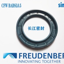 SIMMERRING BABSL DIN AS BABSL05 25-35-6��FREUDENBERG�ͷ�