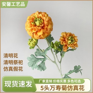 ����������滨5�^�f�۾ս������滨�ω���Ĺ���x�^�ջ��ٻ����l