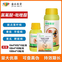 ˹Jչ40%ȷ·׷۲̿Ҳ~߲