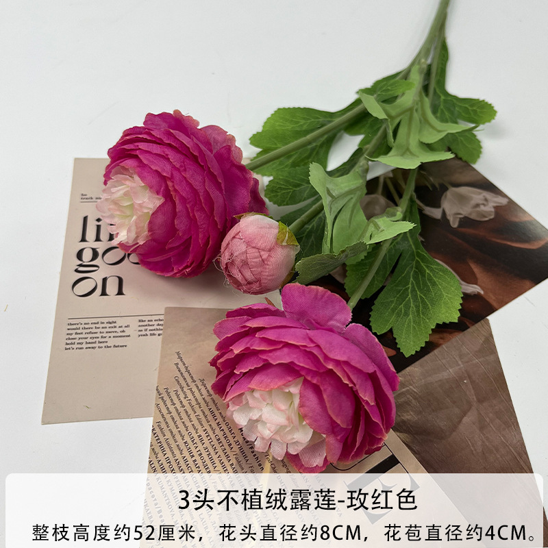 무리가 없는 로즈 레드