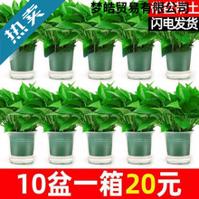 G}҃ȺBȩ՚ˮֲGֲԾGjl