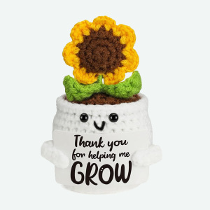 해바라기 화분 7호 호 꽃잎 적갈색 꽃 심 봉오리 녹색 잎 흰색 화분 T 카드