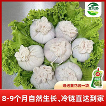 内蒙古风味肚包肉 冷藏羊肚包羊肉 真空独立包装 食材直供