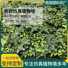 ֲwGֲعʲ\bGɫƺWt