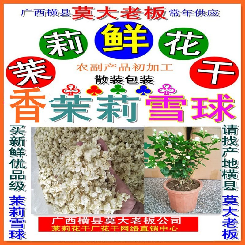 Jasmine Snowball типа 3A Jasmine Star Сухая звезда