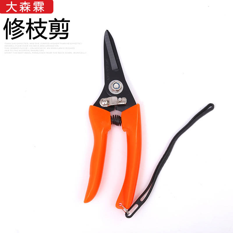 厂家直供精品园林剪修枝剪多功能园艺剪刀果枝剪摘果剪一件代发