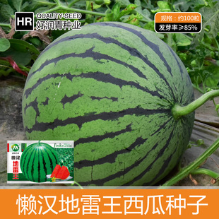 �S�����l�Нh���������ϷN������ϷN�Ѿ������ļ�ˮ���Ϲ��N����