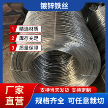 刺铁丝钢丝绳防护网 Q195双股镀锌包塑正反拧刺绳防攀爬隔离铁丝