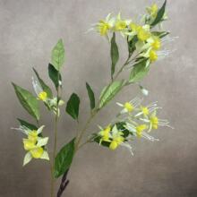 ߙn滨L֦R\ҾӔ[ƵӰgbY廨