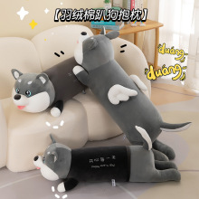 �ɐ��L�l��ʿ�汧��ë�q���ſ��С����ż˯�X�A�ȶY�����Q������