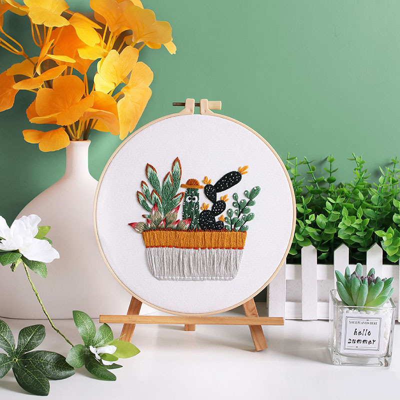 Cx1074 plantas suculentas 1