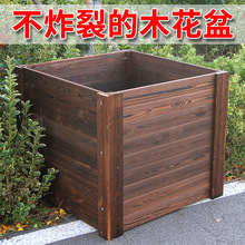 ����ľ�������ͥԺ�̨�҃������Ό�ľ�N�����̼��ľ����