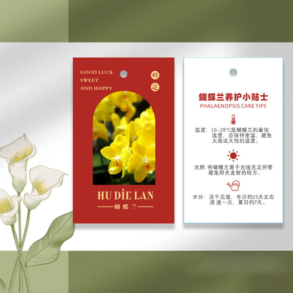Phalaenopsis plant hanging card