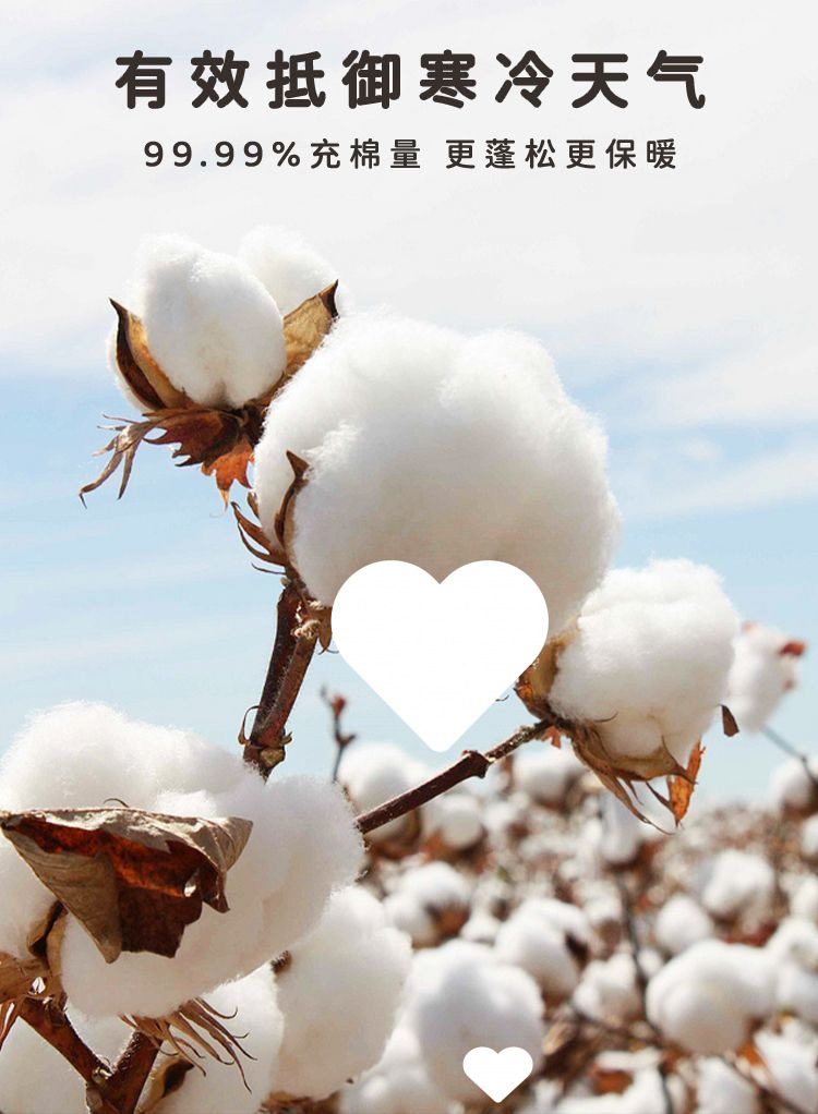 a2d8353b-aa5a-44dc-b50f-9cffeead08ac.jpe