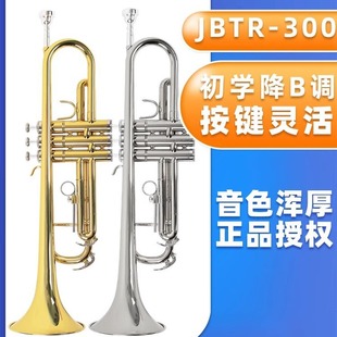 JINBAO��С̖������B�{���IJBTR- 300�S�~�ܳ��W�������WУ���F