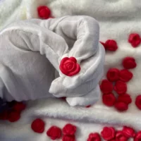 Подлинные сыпучие красные розы DIY крем клей капель для мобильного телефона чехол для сыпучих аксессуаров сцены