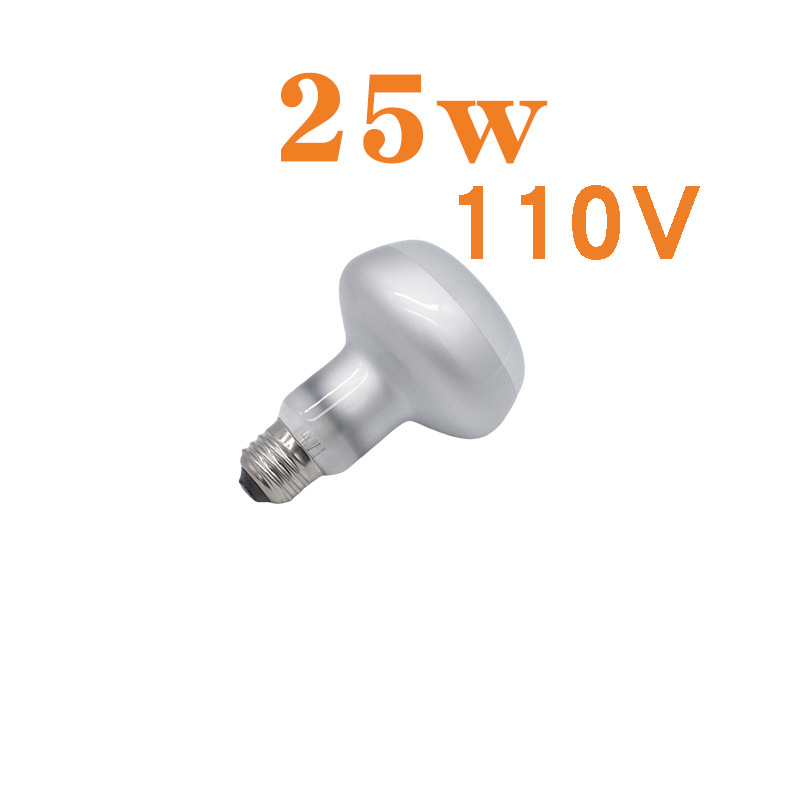 R80 사막 태양 램프 110V 25w