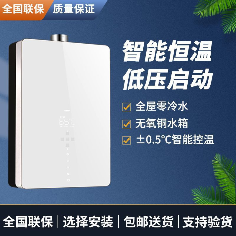 燃气热水器家用即热式天然气液化气强排热水器智能恒温批发