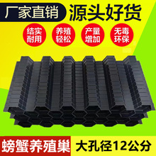 �з�Bֳ�����r����з���˹��Bֳ������з�������߰�