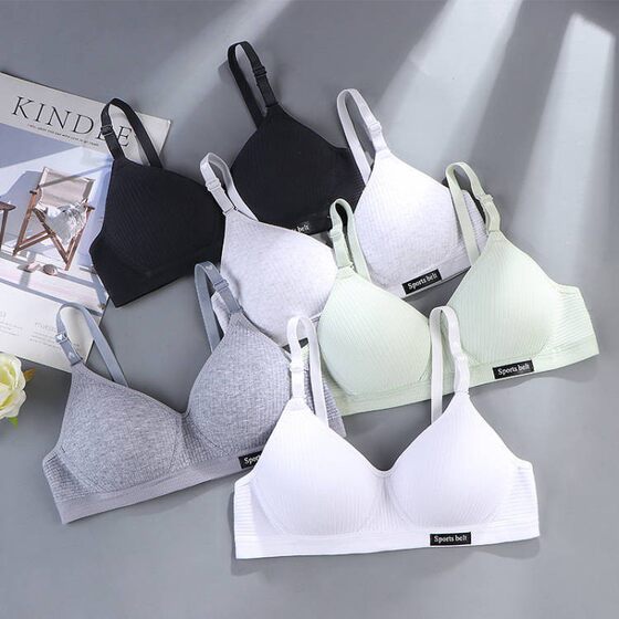 Girls amusement park small chest gathered no steel ring big thin sleep factory direct wholesale bra underwear