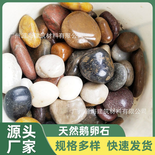 Shenzhen Direct Batch of High-Quality Multicolored Pebbles, Rain Flower Stones, Garden Landscape, Fish Tank Landscaping, Architectural Paving Pebbles
