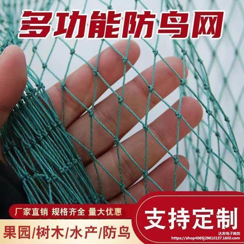 防鸟网新料抗老化大棚通风口鱼塘樱桃天网养鸡围栏葡萄草莓防护网