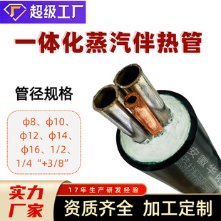 Integrated Steam Heating and Insulation Prefabricated Insulation Pipe Φ12/14/16Φ1/4 316L Stainless Steel Three-Core