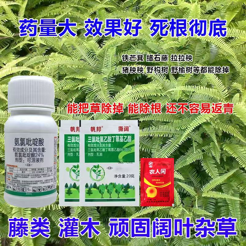 络石藤除草剂葛藤水花生五叶藤拉拉秧野构树灌木除草剂氨氯吡啶酸