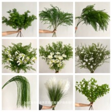 �¿��c����Gֲ���ĵ�픻���Y�廨��ˇ�J���ݽ����G�~�ٻ�����