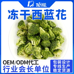 脱水西蓝花碎 FD冻干西兰花干 宠物萌犬小狗鹦鹉零食蔬菜干原料